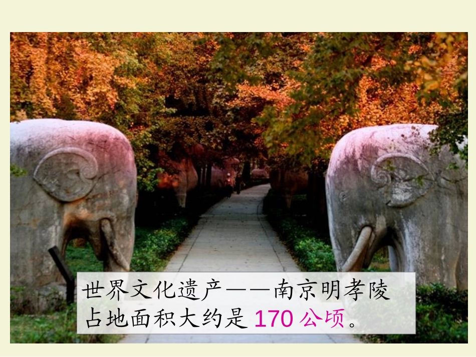 《公顷和平方千米的认识》多边形面积的计算PPT课件_第3页