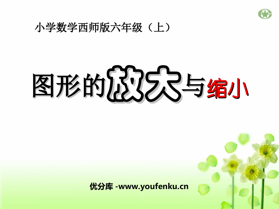 《图形的放大与缩小》图形的变换和确定位置PPT课件_第1页