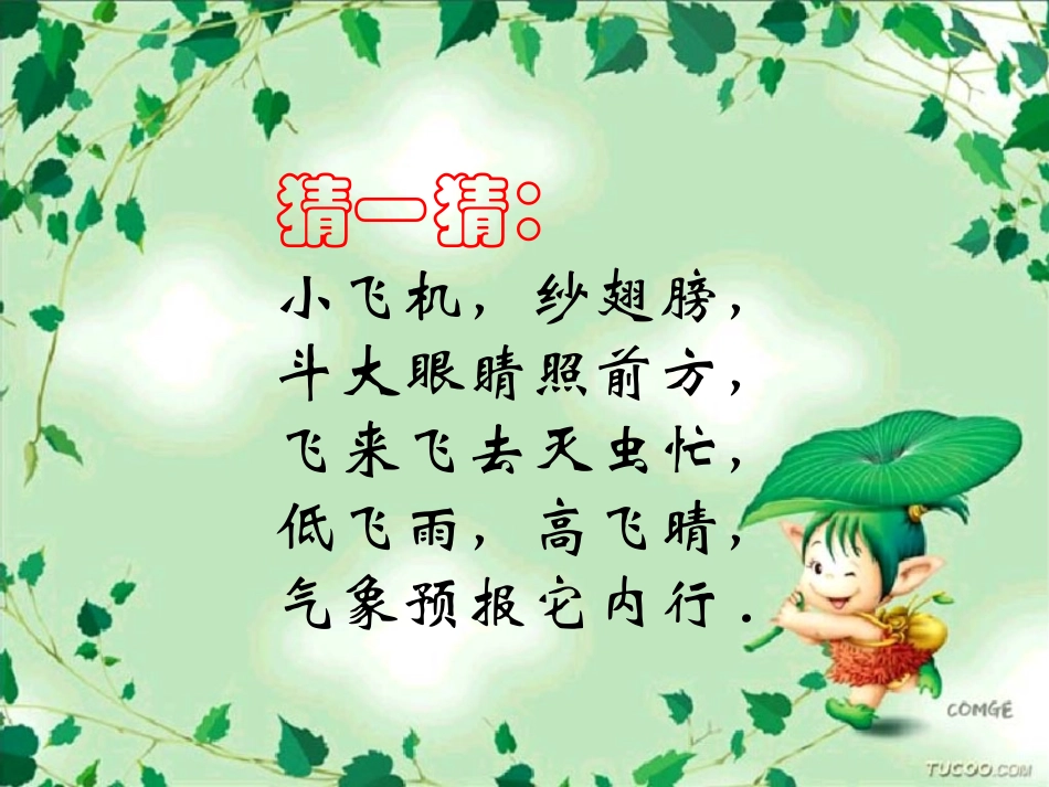 《蜻蜓飞飞》PPT课件[二年级美术上册]_第2页