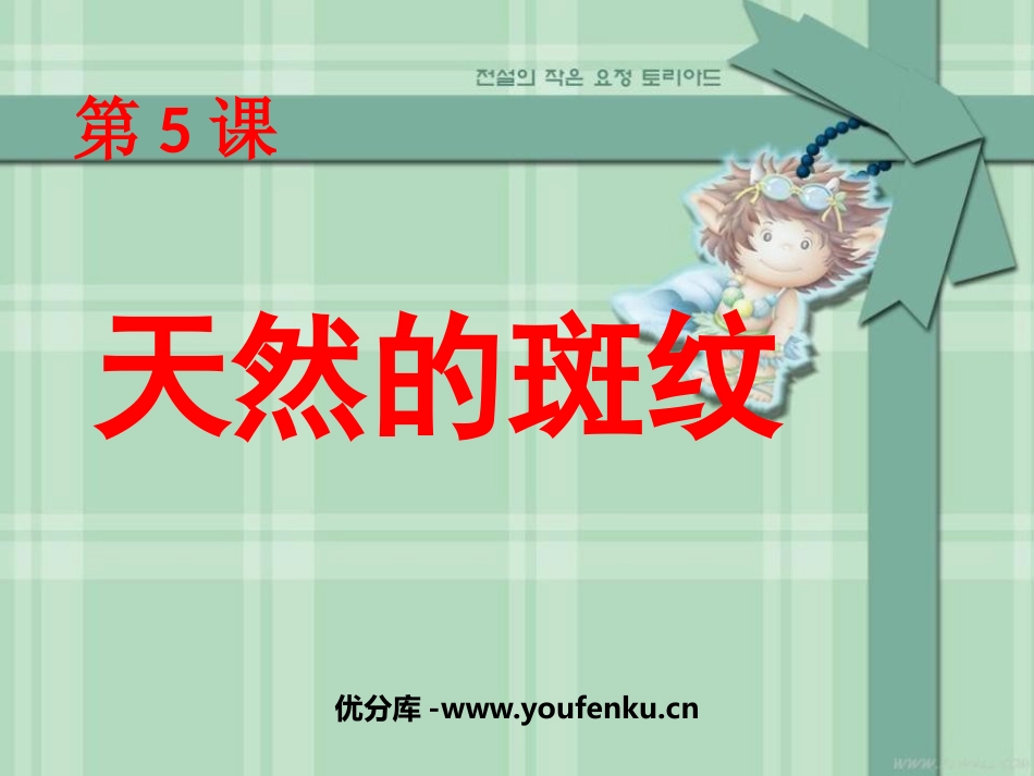《天然的斑纹》PPT课件[三年级美术上册]_第1页