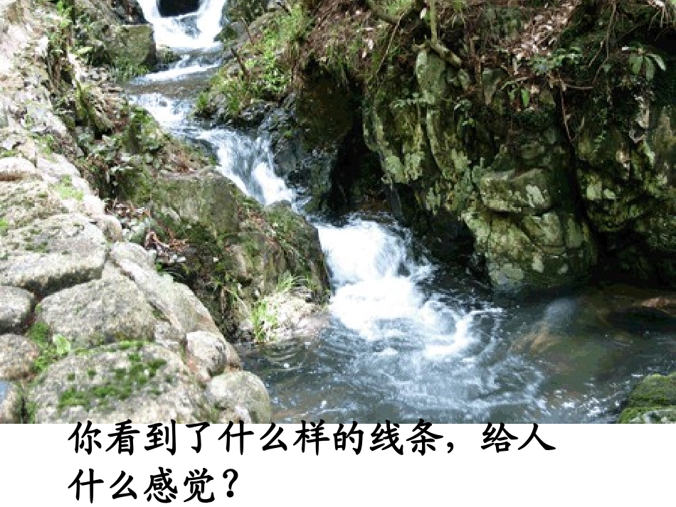 《线条的动与静》PPT课件[四年级美术上册]_第2页
