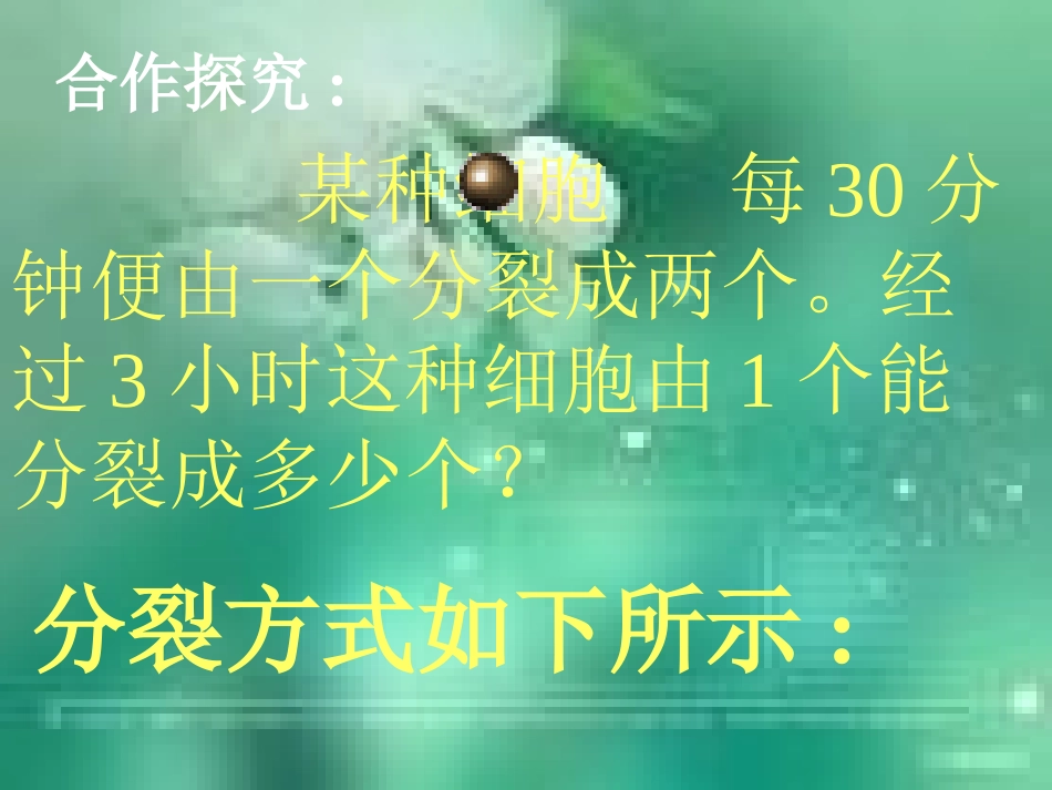 《有理数的乘方》有理数PPT课件[人教版七年级数学上册]_第3页