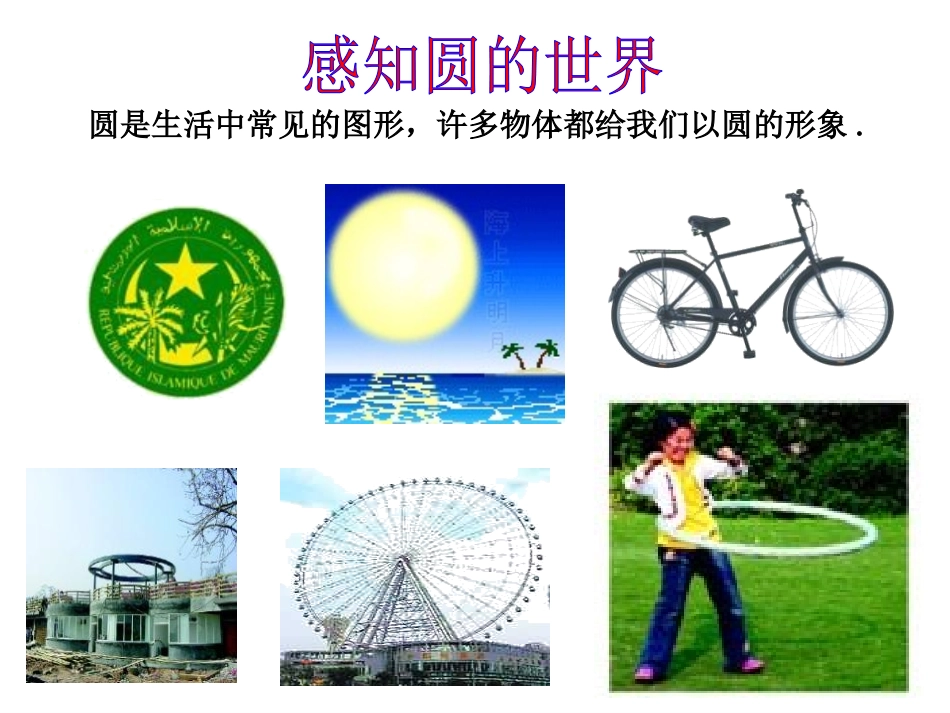 《圆的有关性质》圆PPT课件[人教版九年级数学上册]_第2页
