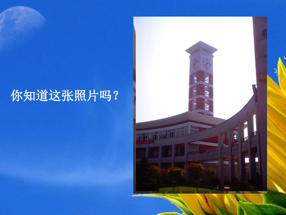 《从不同方向看》丰富的图形世界PPT课件[北师大版七年级数学]_第2页