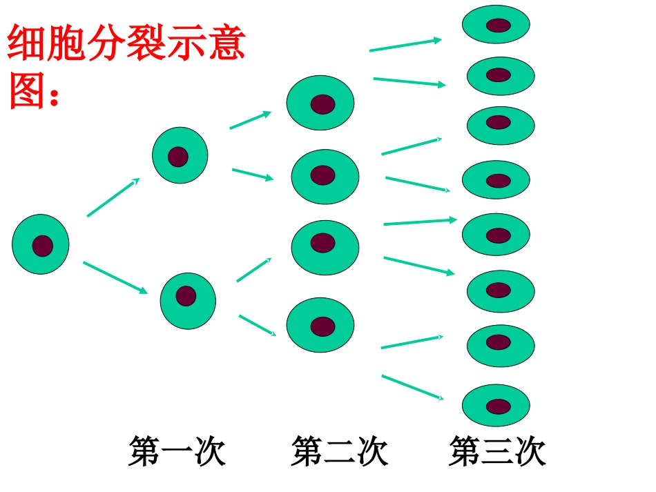 《有理数的乘方》有理数及其运算PPT课件[北师大版七年级数学]_第3页
