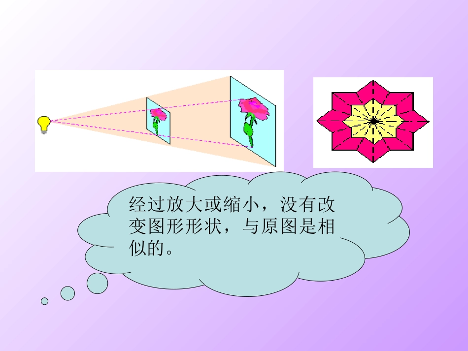 《图形的位似》图形的相似PPT课件[北师大版九年级数学上册]_第3页