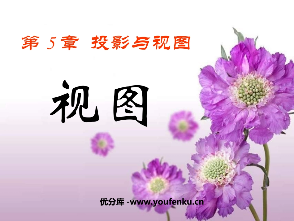 《视图》投影与视图PPT课件[北师大版九年级数学上册]_第1页