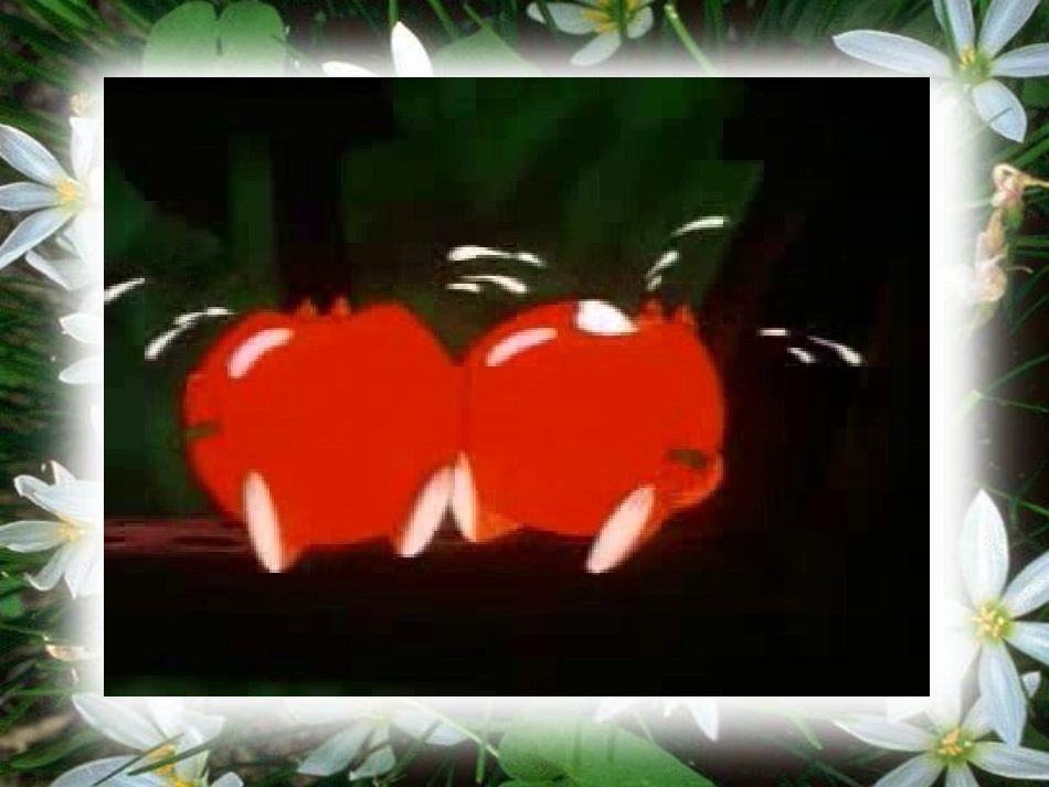 《Do you like bananas?》PPT课件_第2页