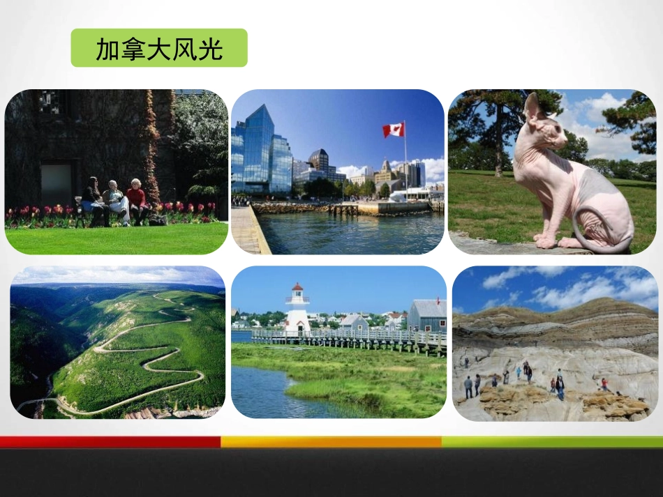 《Home to Many Cultures》Culture Shapes Us PPT课件_第2页