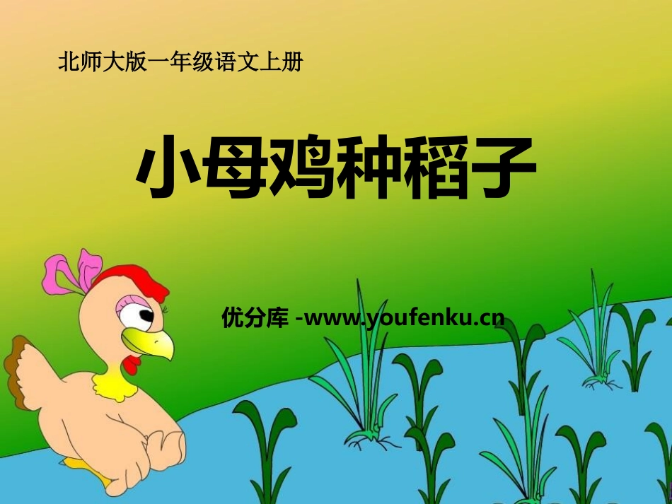 《小母鸡种稻子》PPT课件[北师大版一年级语文上册]_第1页