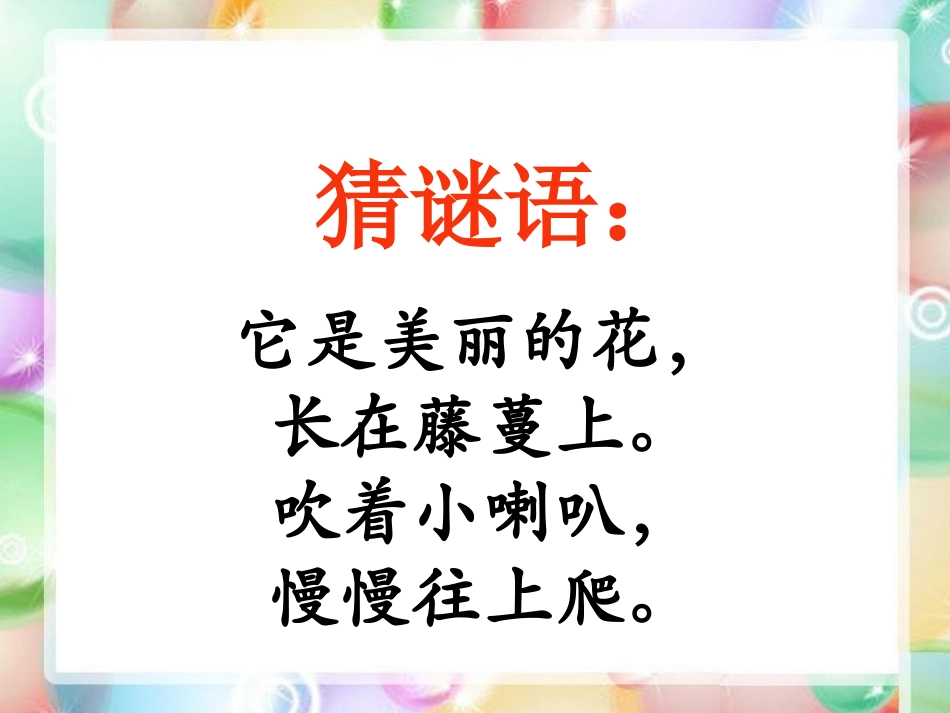 《丁丁和牵牛花》PPT课件[北师大版一年级语文下册]_第2页