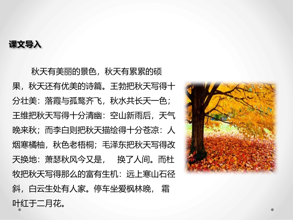 《山行》PPT教学课件[北师大版七年级语文上册]_第2页