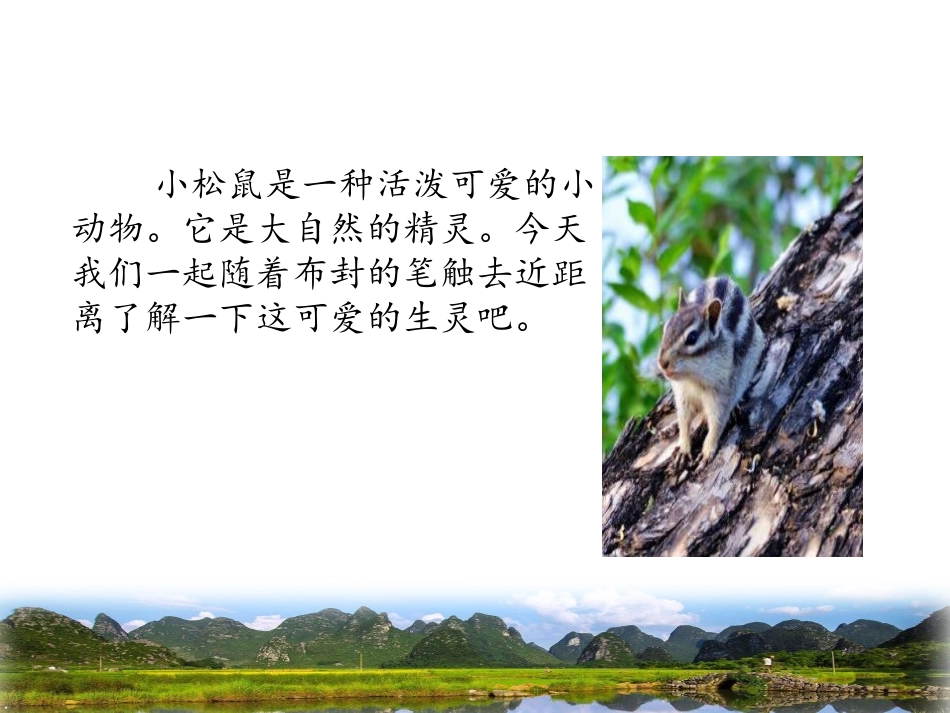 《松鼠》PPT课件[北师大版三年级语文下册]_第3页