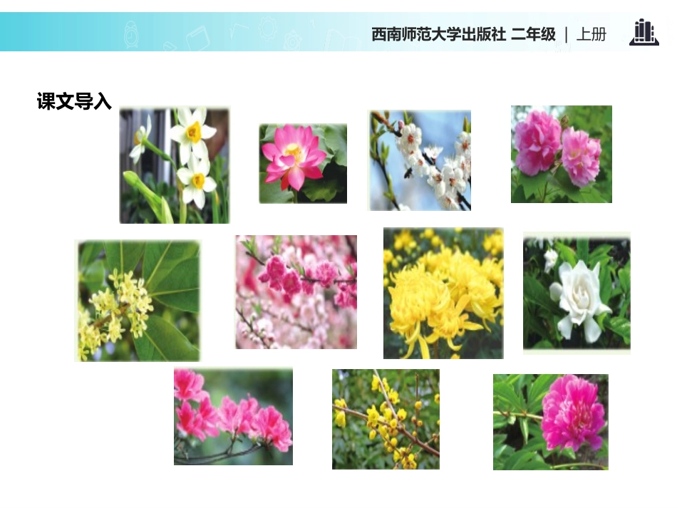 《月月花》PPT课件[西师大版二年级语文上册]_第3页