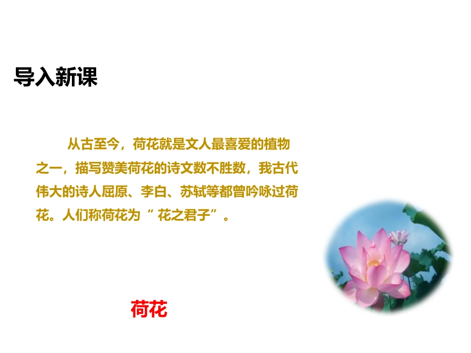 《荷花》PPT课件[西师大版三年级语文上册]_第2页
