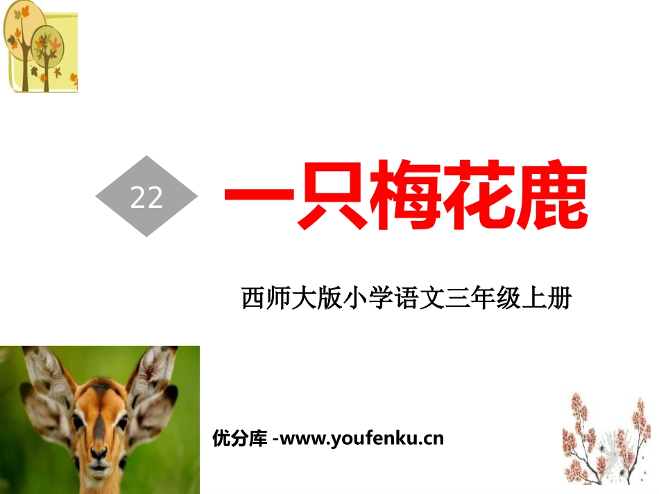 《一只梅花鹿》PPT课件[西师大版三年级语文上册]_第1页