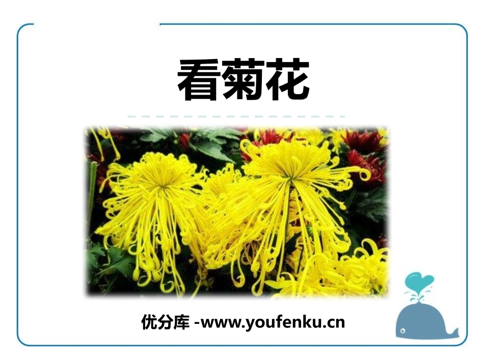 《看菊花》PPT课件[苏教版一年级语文上册]_第1页