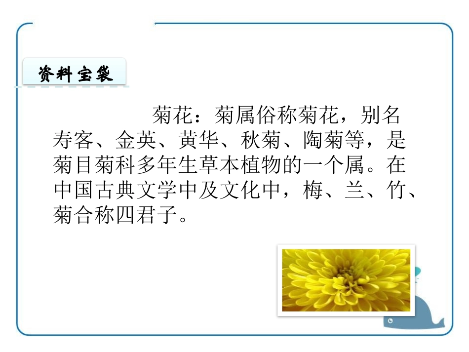《看菊花》PPT课件[苏教版一年级语文上册]_第2页