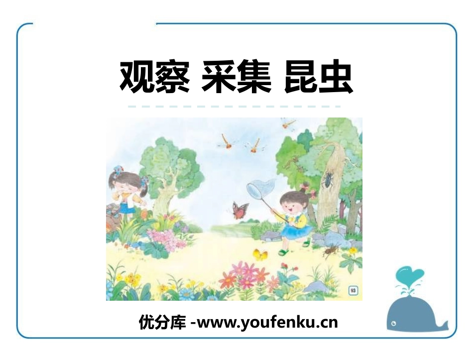 《观察 采集 昆虫》PPT课件[苏教版一年级语文上册]_第1页