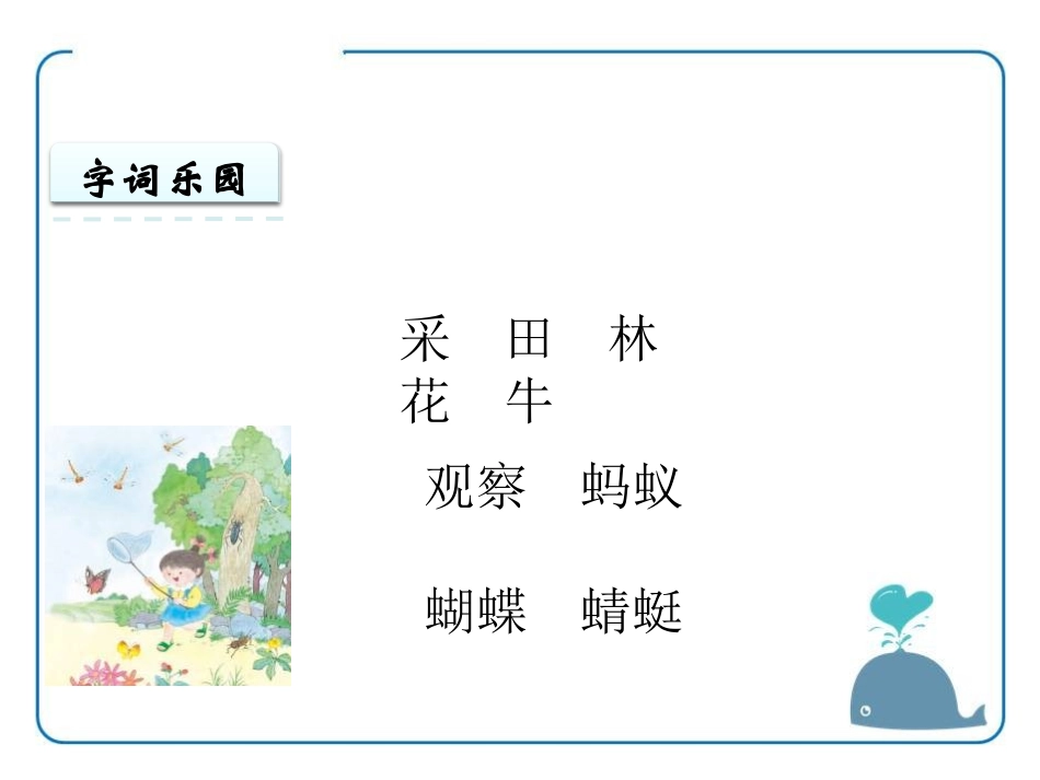 《观察 采集 昆虫》PPT课件[苏教版一年级语文上册]_第3页