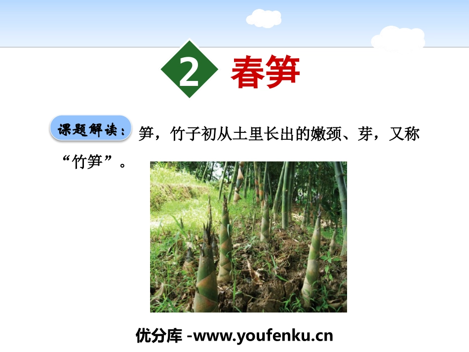 《春笋》PPT课件[苏教版一年级语文下册]_第1页