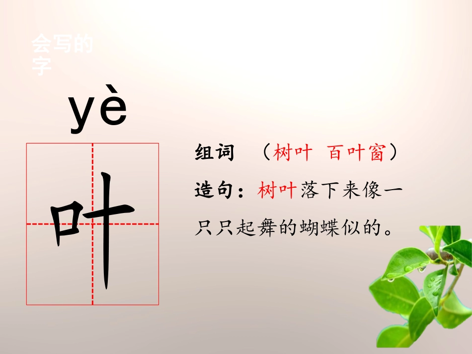 《叶子的眼睛》PPT课件[苏教版一年级语文下册]_第3页