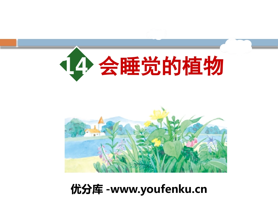 《会睡觉的植物》PPT课件[苏教版一年级语文下册]_第1页