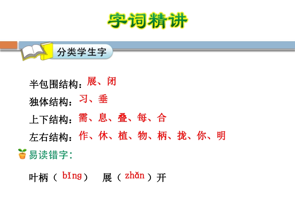 《会睡觉的植物》PPT课件[苏教版一年级语文下册]_第3页
