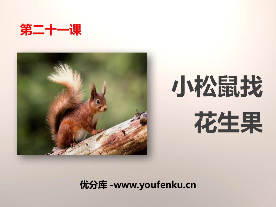 《小松鼠找花生果》PPT课件[苏教版一年级语文下册]_第1页