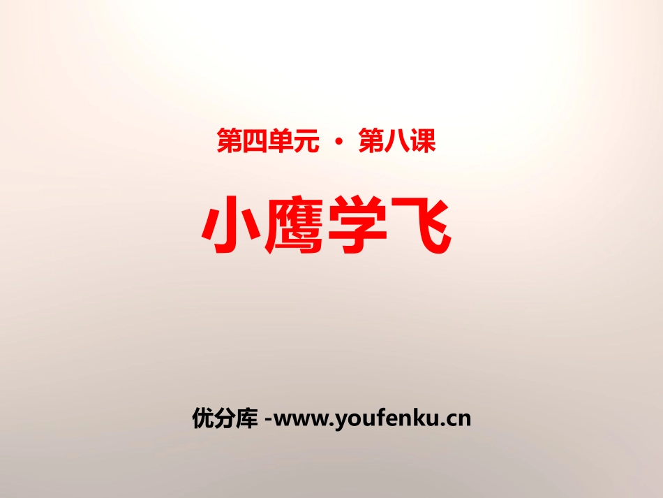 《小鹰学飞》PPT课件[苏教版二年级语文上册]_第1页