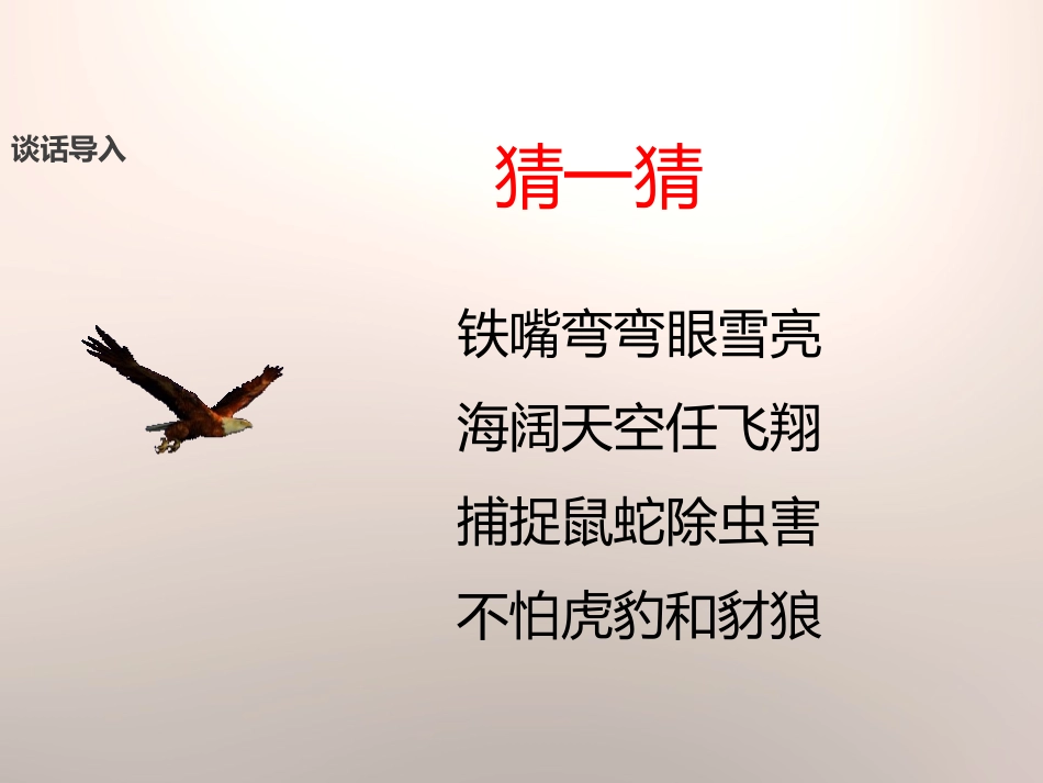 《小鹰学飞》PPT课件[苏教版二年级语文上册]_第2页