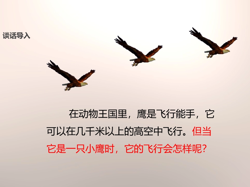 《小鹰学飞》PPT课件[苏教版二年级语文上册]_第3页