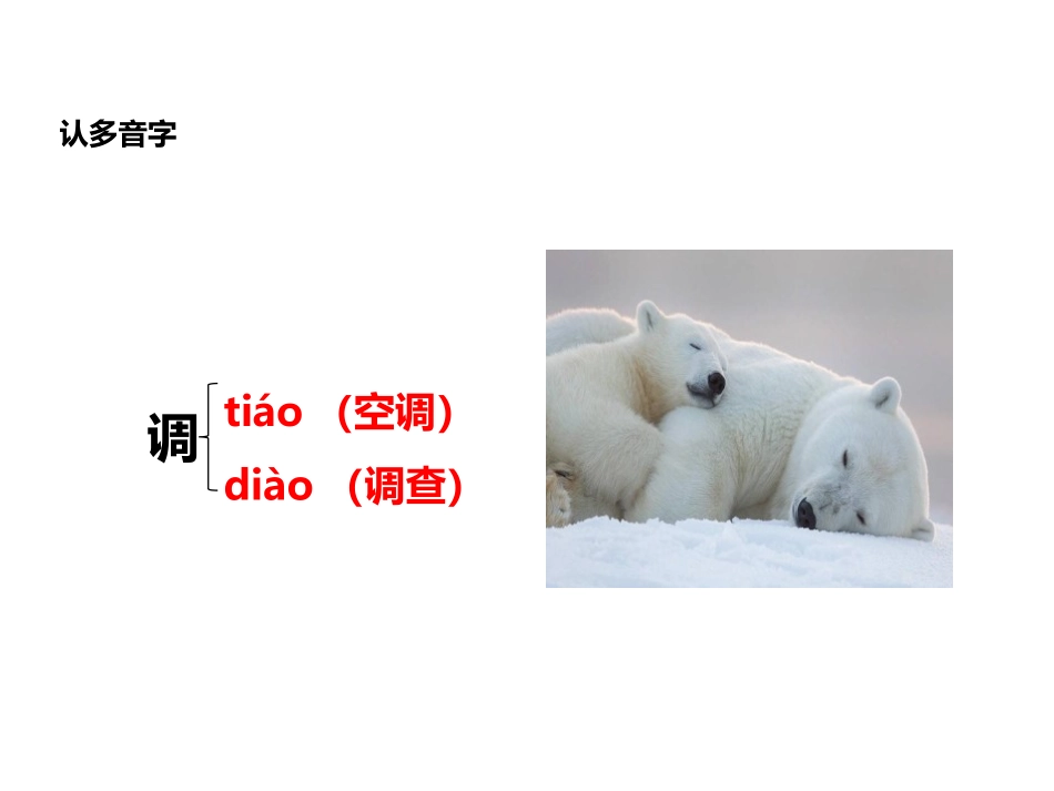 《地球的两顶“白帽子”》PPT教学课件[苏教版三年级语文]_第3页