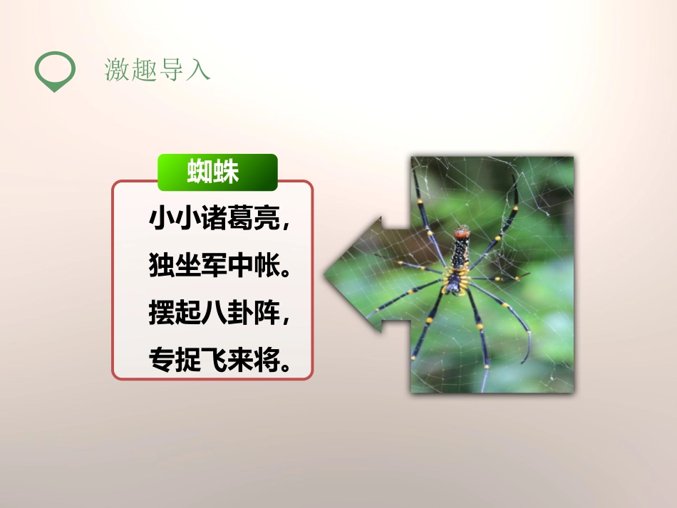 《第八次》PPT课件[苏教版三年级语文上册]_第2页