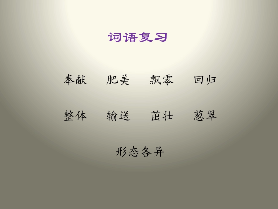《做一片美的叶子》PPT课件[苏教版三年级语文上册]_第3页