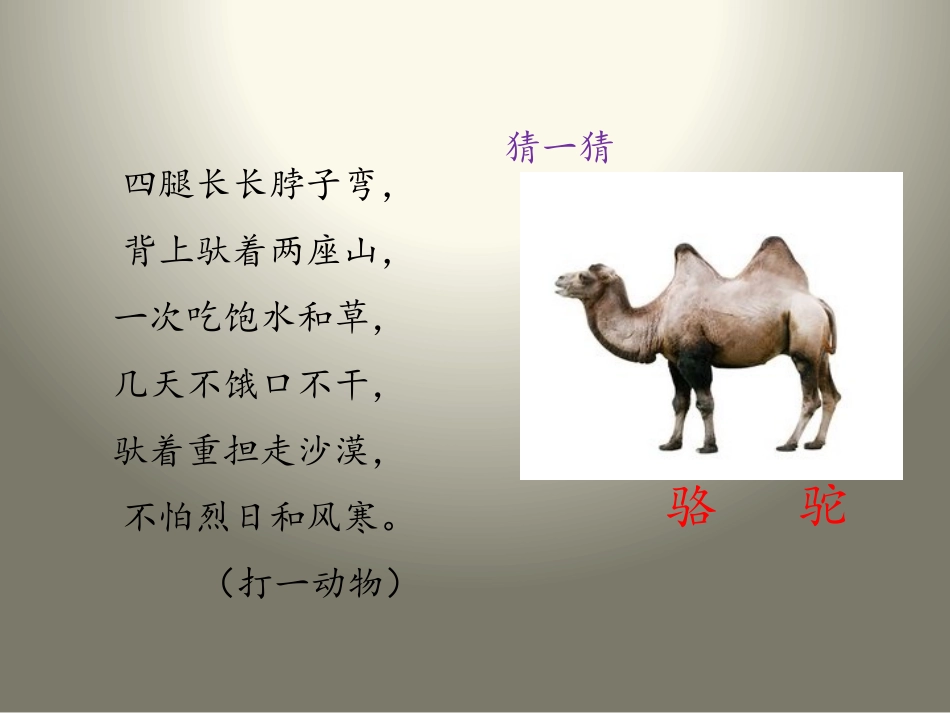 《我应该感到自豪才对》PPT课件[苏教版三年级语文上册]_第2页