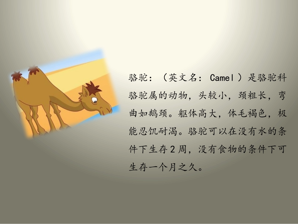 《我应该感到自豪才对》PPT课件[苏教版三年级语文上册]_第3页