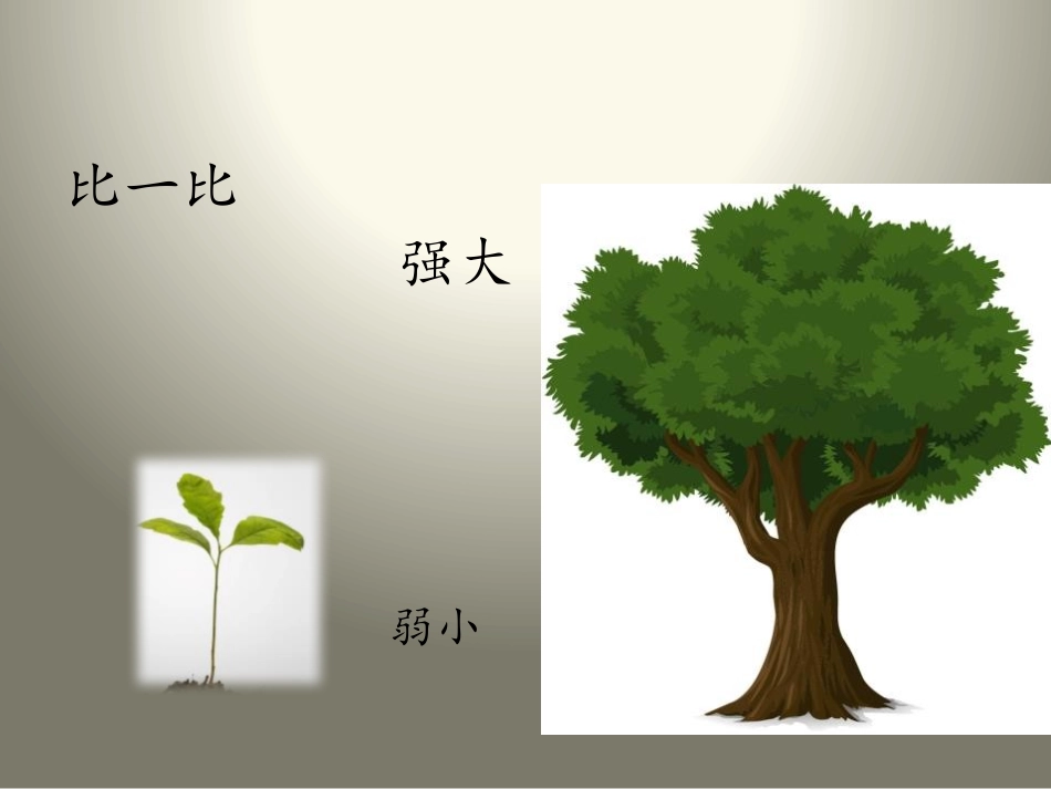 《我不是最弱小的》PPT课件[苏教版三年级语文上册]_第2页