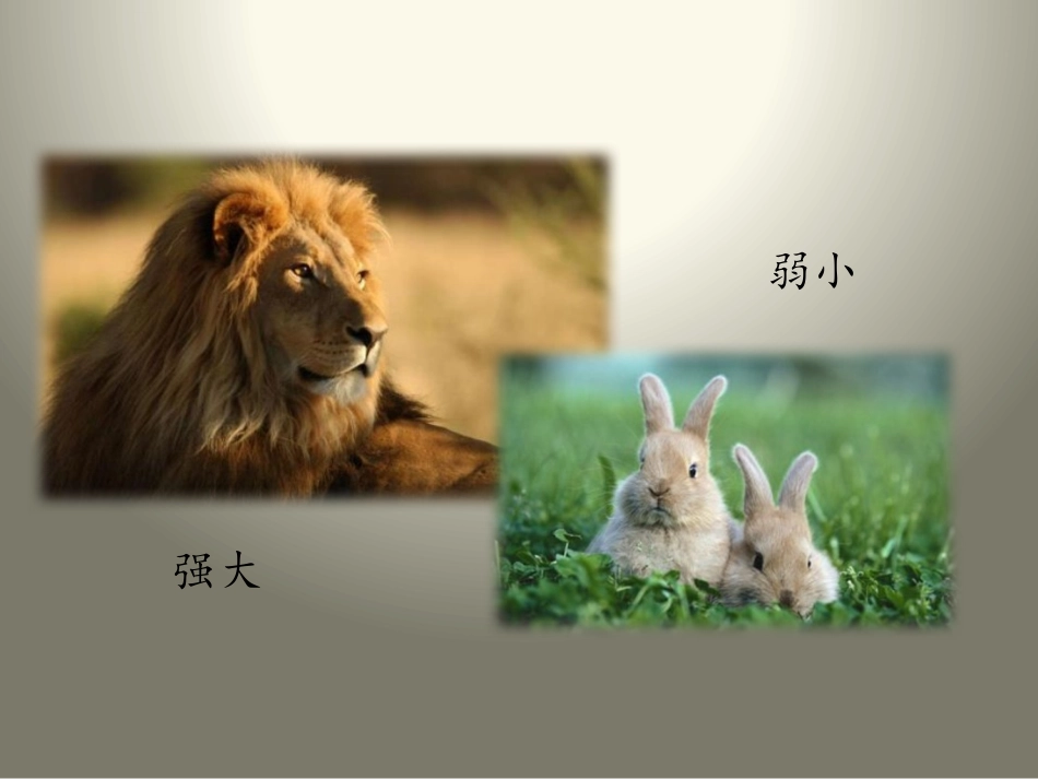 《我不是最弱小的》PPT课件[苏教版三年级语文上册]_第3页
