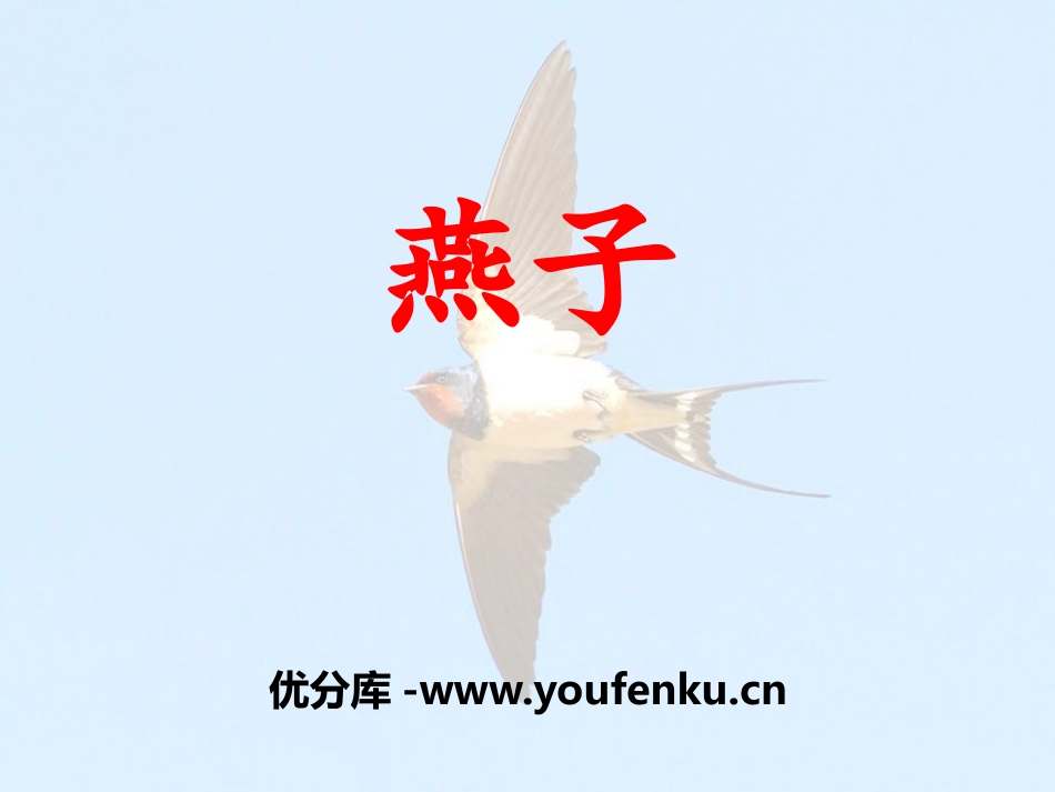 《燕子》PPT教学课件[苏教版三年级语文下册]_第1页
