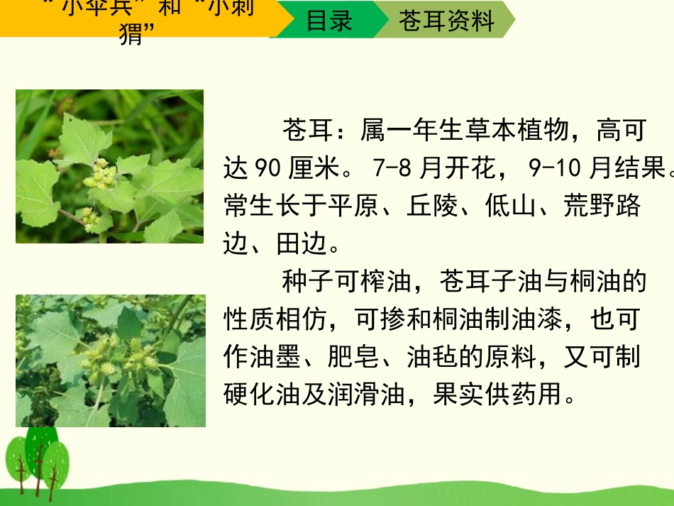 《“小伞兵”和“小刺猬”》PPT课件[苏教版三年级语文下册]_第2页