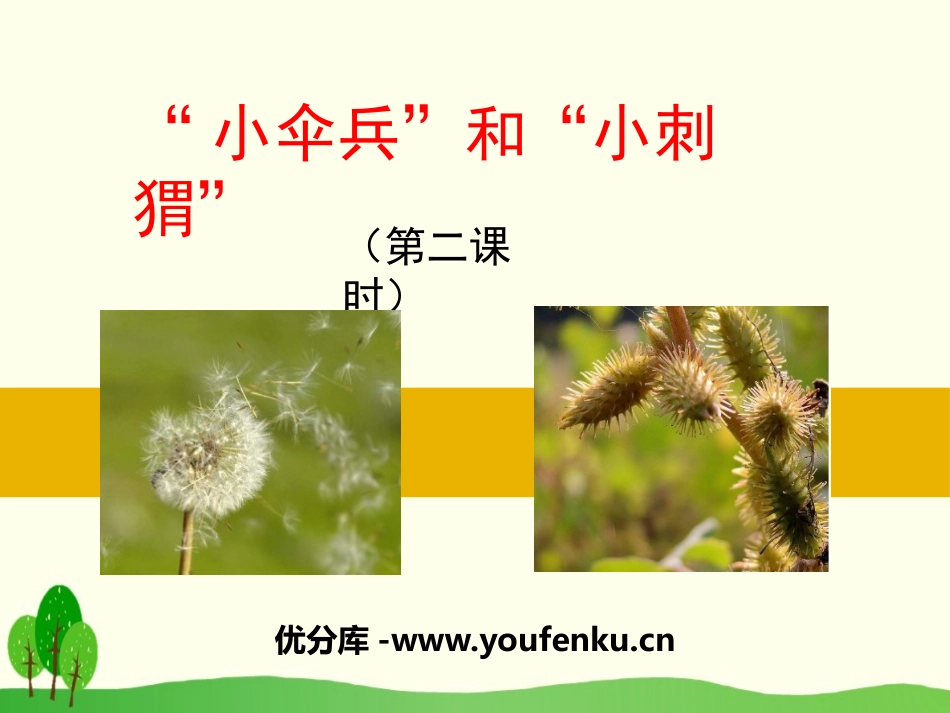 《“小伞兵”和“小刺猬”》PPT课件[苏教版三年级语文下册]_第1页