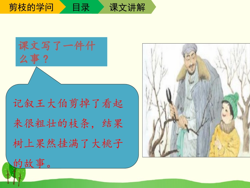 《剪枝的学问》PPT课件[苏教版三年级语文下册]_第3页