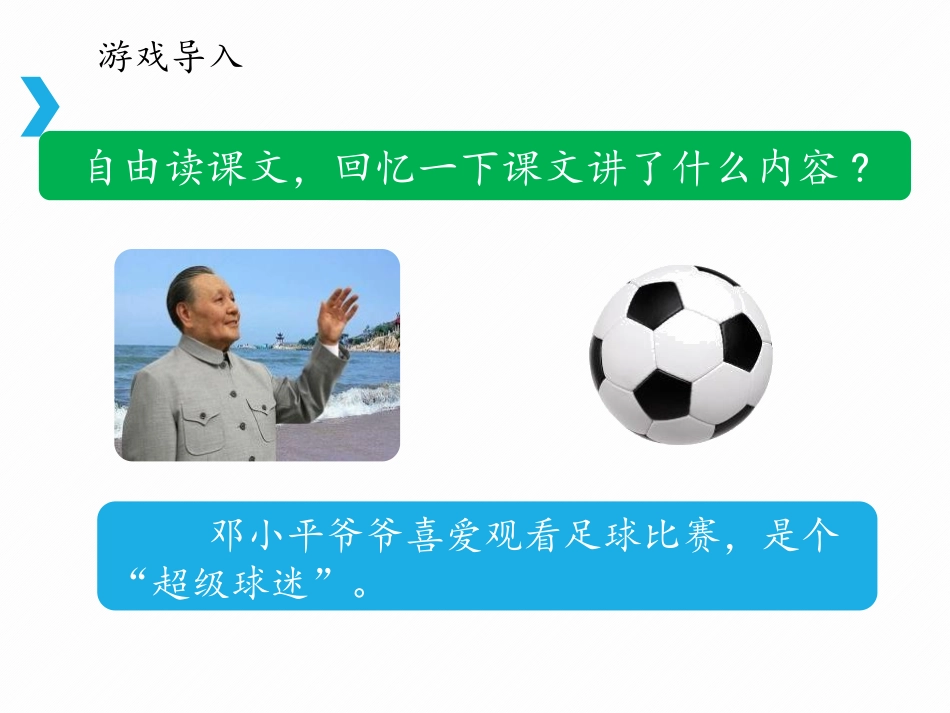 《“超级球迷”XXX》PPT课件[苏教版三年级语文下册]_第3页