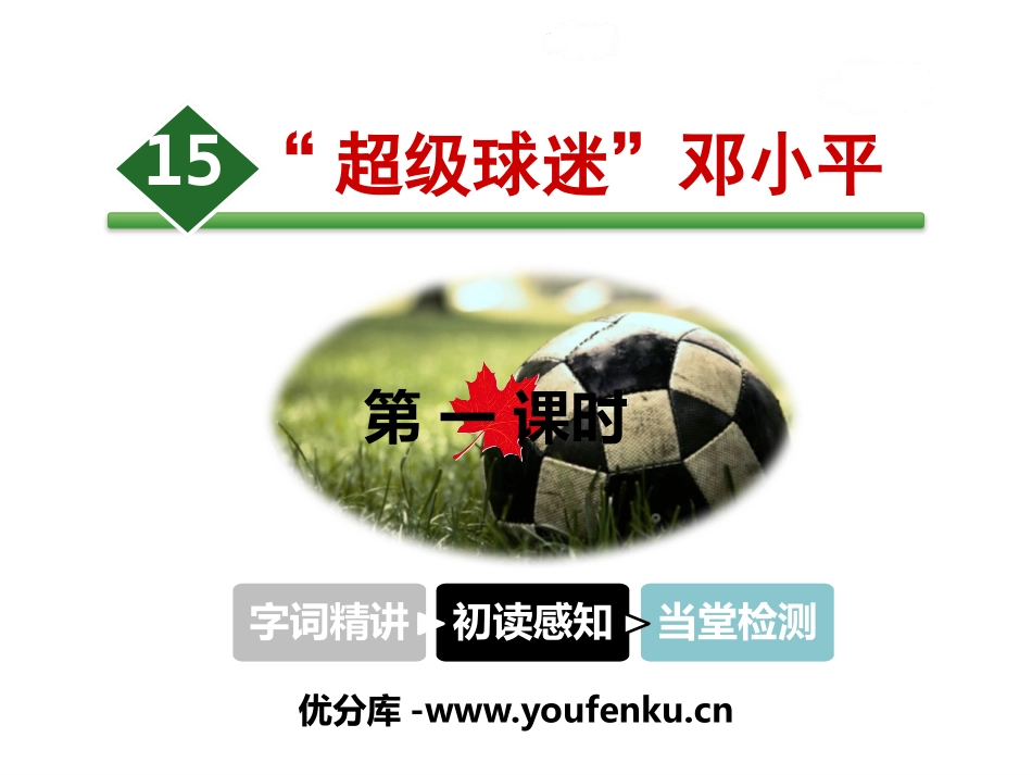 《“超级球迷”XXX》PPT课件[苏教版三年级语文下册]_第1页