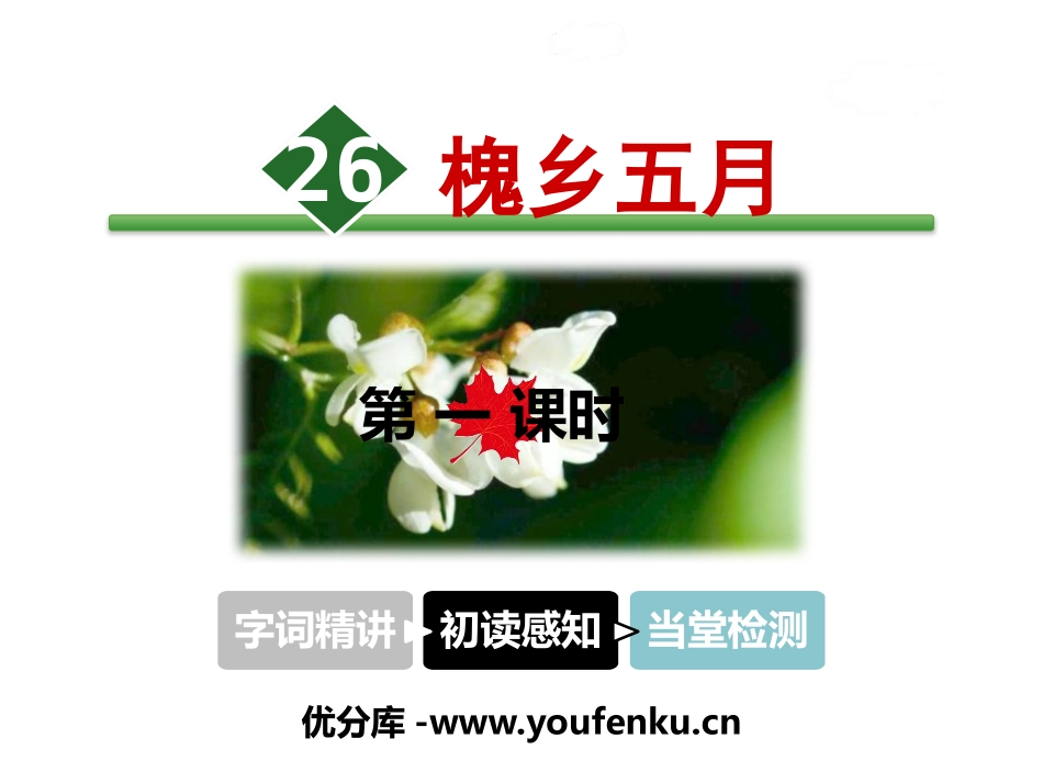 《槐乡五月》PPT课件[苏教版三年级语文下册]_第1页