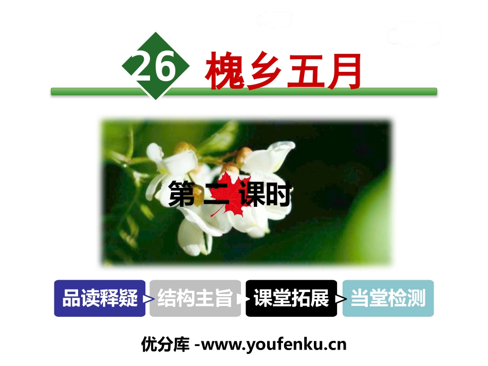 《槐乡五月》PPT课件[苏教版三年级语文下册]_第1页