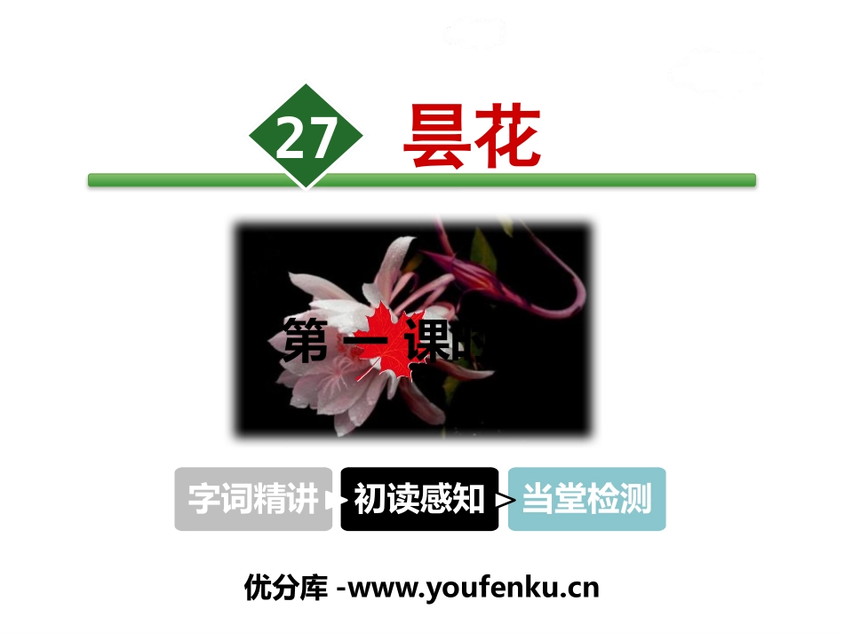 《昙花》PPT课件[苏教版三年级语文下册]_第1页