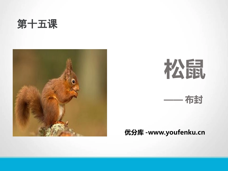《松鼠》PPT免费课件[苏教版七年级语文下册]_第1页