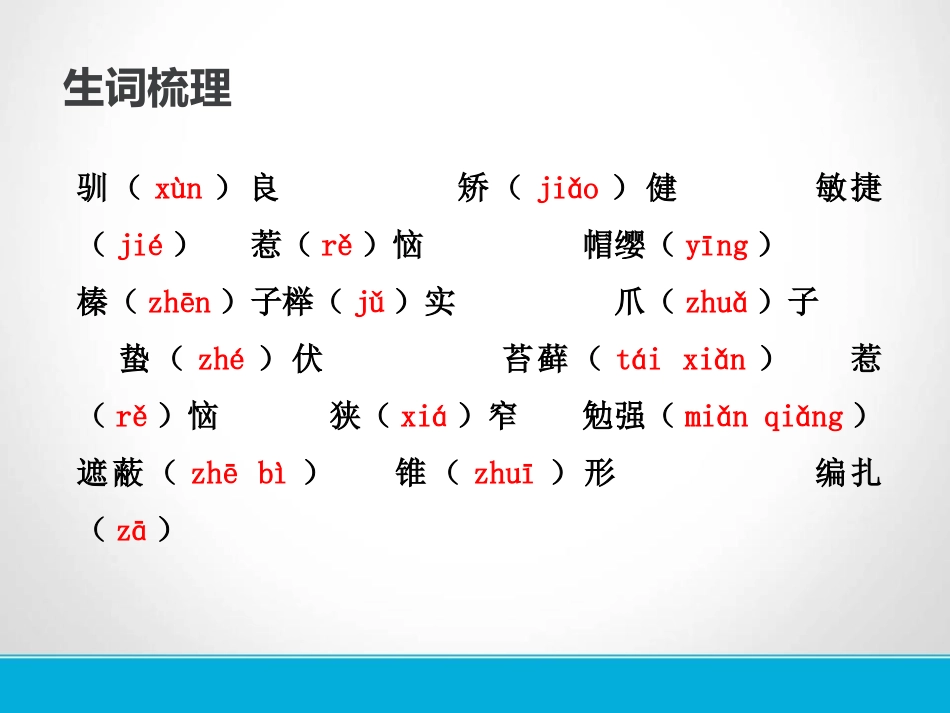 《松鼠》PPT免费课件[苏教版七年级语文下册]_第3页